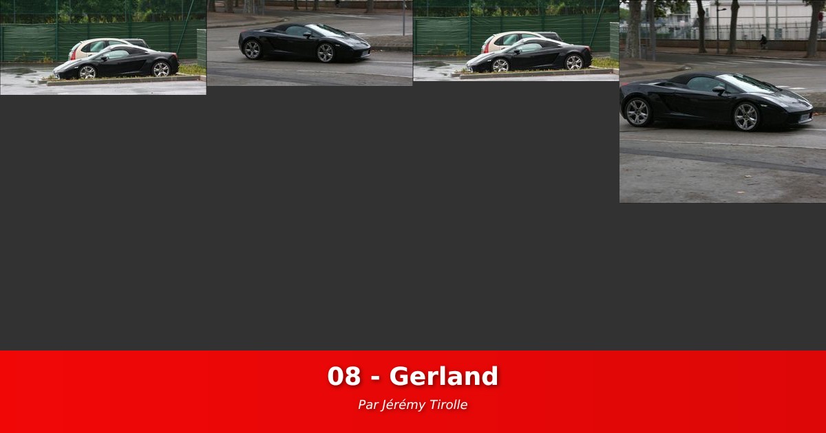 08 - Gerland - Galerie de Jérémy Tirolle